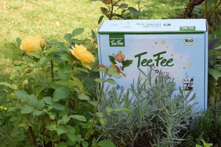 Bio-KIndertee ohne Zucker von TeeFee